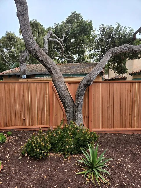 Fence Contractor Monterey exterior wooden fence